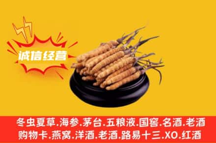 漳州市平和回收冬虫夏草